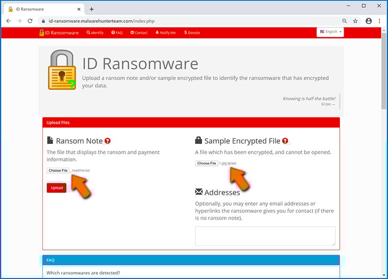 Identify ransomware-type infection (step 3)
